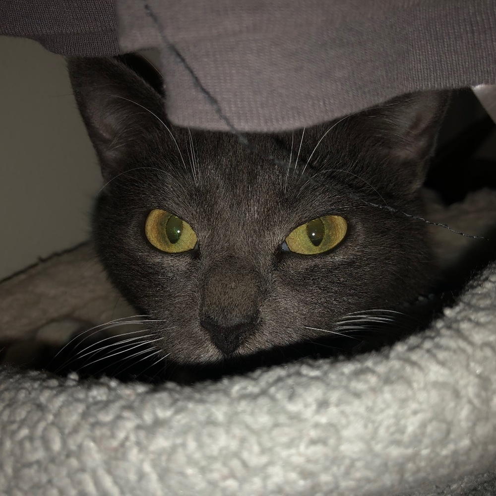 Meet your Posher, Emily